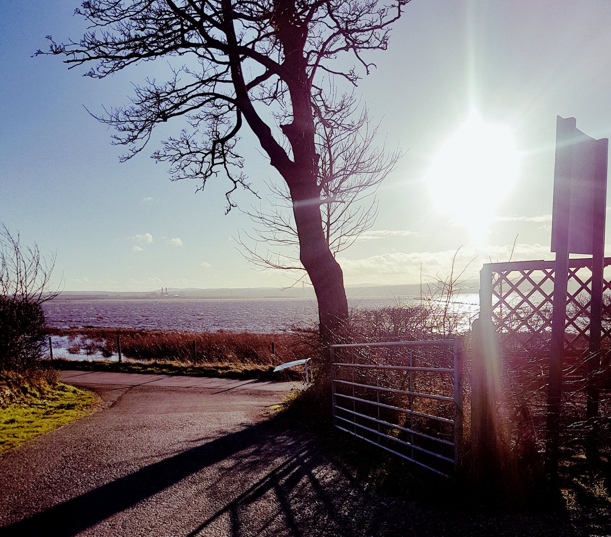 netscoffeeshop's tweet photo. What a beautiful part of the world we live in #hightides https://t.co/LXayMNdJkb