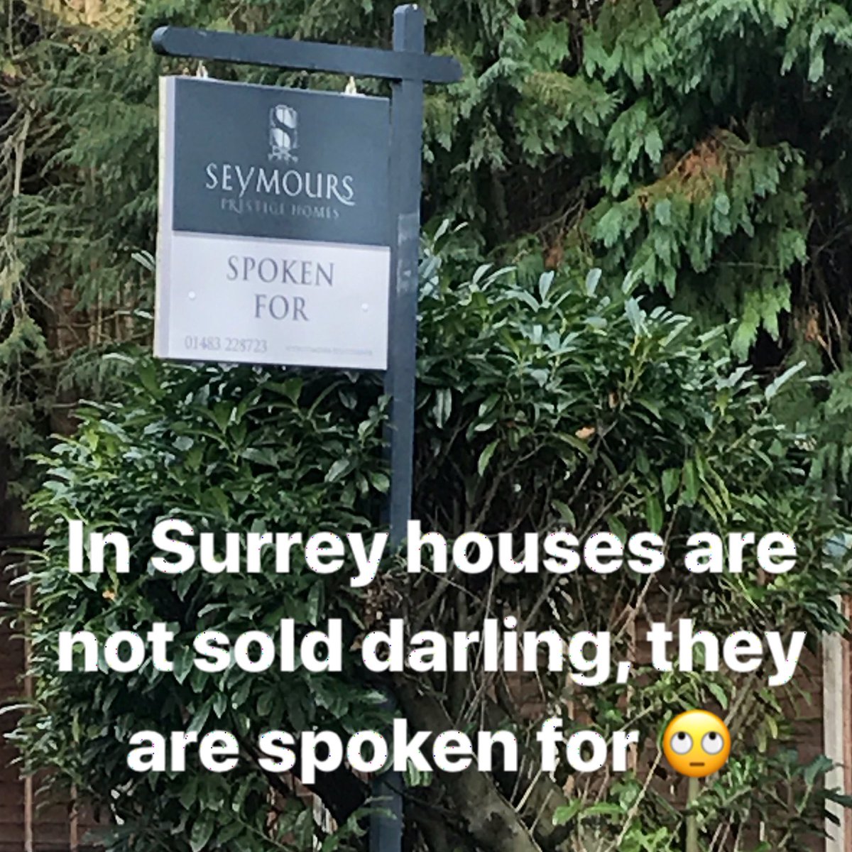 big_ab5's tweet photo. I donβt think I have ever seen anything more Surrey than this..
#spokenfor #surrey #forsale #notforsale #chobham #surreydarling #yaya #chinchin #pretentious #forsalesign #housingmarket #estateagent #realestate https://t.co/2rbg1YWobH