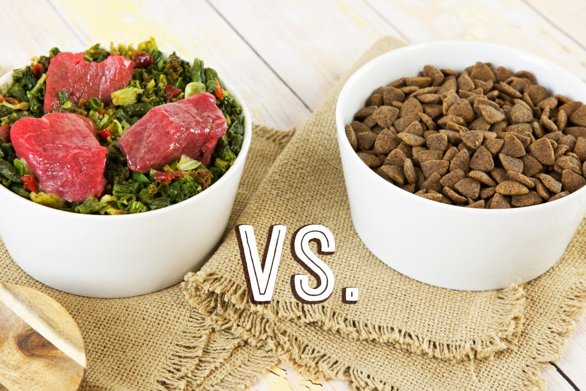 drharvey's tweet photo. Why feed your dog a ketogenic diet? Find out here: https://t.co/Nakou6f4Oq #Ketogenic #ketofordogs #cancerindogs #diabetesindogs #feedrealfood https://t.co/LNOkbYzeTP