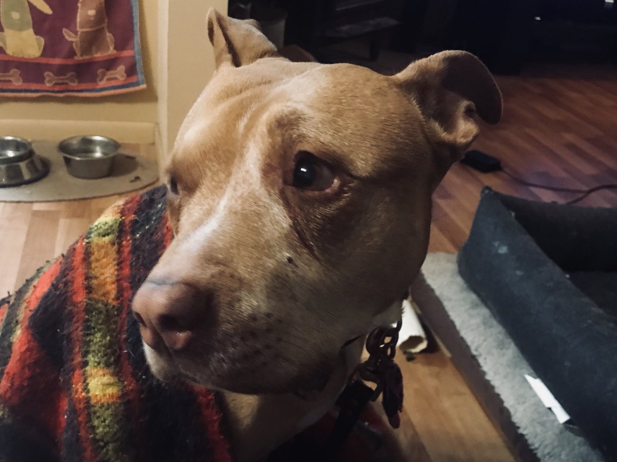 You think the cold haS me stuck in here with you? YOU'RE ALL STUCK IN HERE WITH ME BEING SAD.