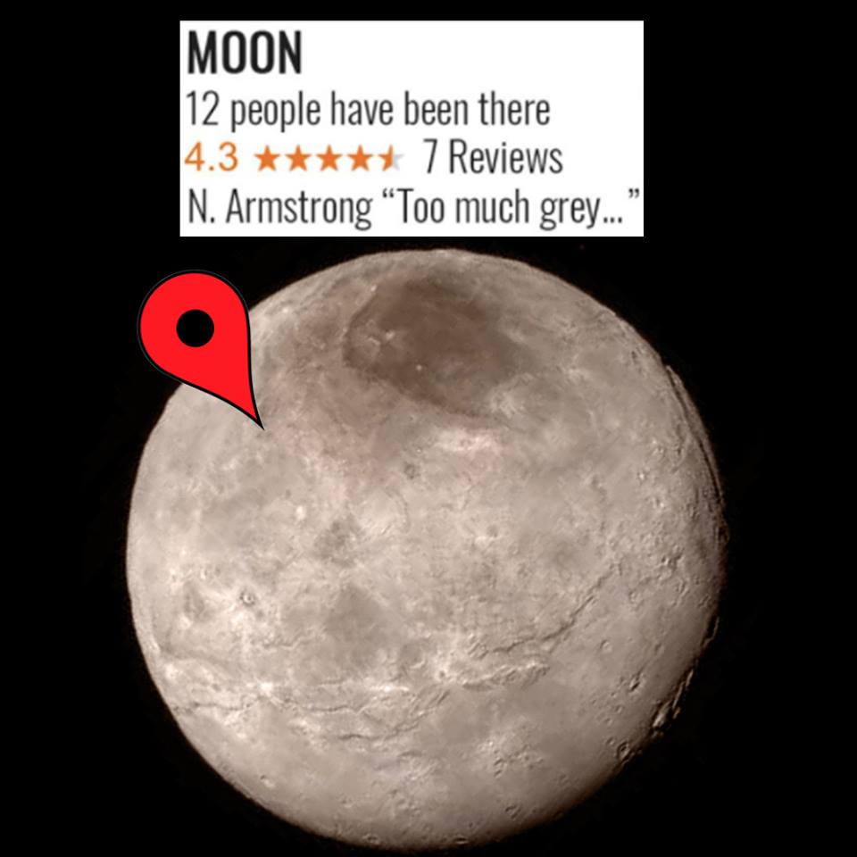 wombat_world's tweet photo. Leaving a review of a visit to the moon 😅 Seems pretty legit to us 👊 #Wombatworld https://t.co/zSF0Vfayy3