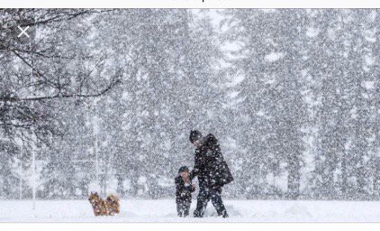 MapletonElemen1's tweet image. All MSAD #1 Schools will be dismissed @ 11:30 today!