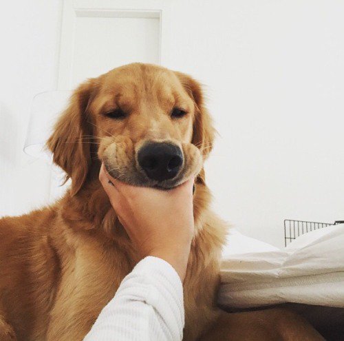 babewomans's tweet photo. #mood https://t.co/b9fhvAT75Y