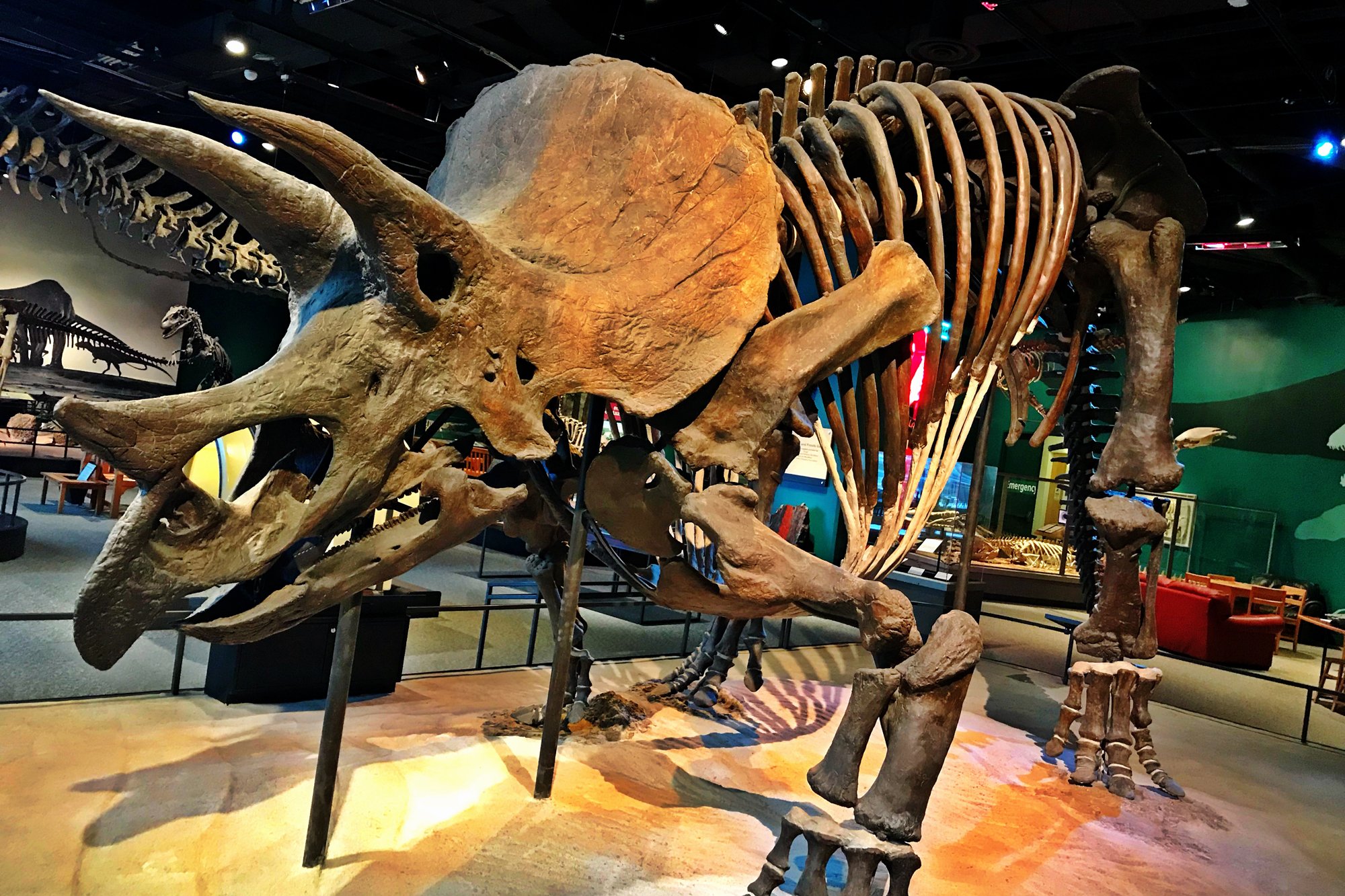 Science Museum of Minnesota on Twitter: