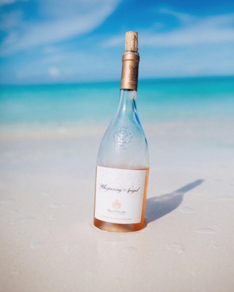 FromVineyardsDirect tweet media