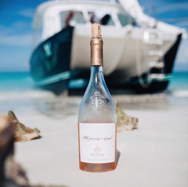 FromVineyardsDirect tweet media