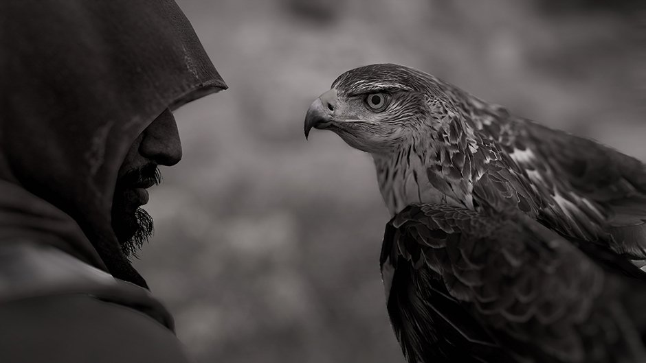 Ubisoft's tweet photo. <3 Senu 🦅
Check out the winners of this week's @AssassinsCreed Photo Mode &amp; join next week's contest here >> https://t.co/X79DDguP4o || https://t.co/7PtlEo20ru