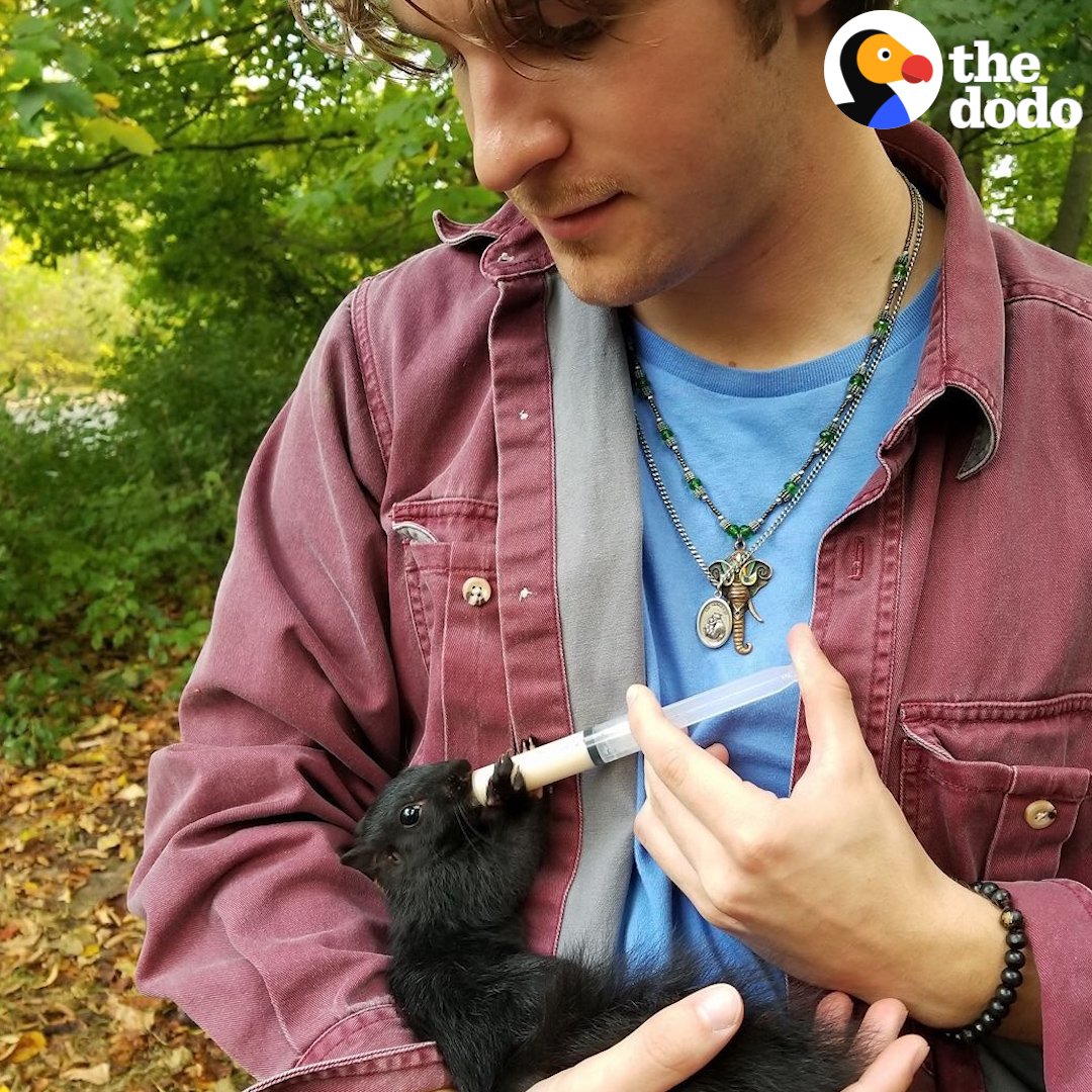 Michelle Ballard (m_ballard) Twitter