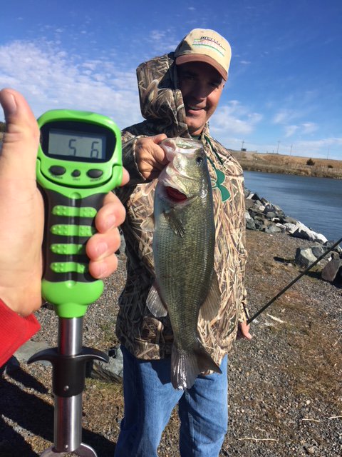 gamblerlures's tweet photo. That's a cool weather #ThursdayThunker from Grant on the Gambler #DigitalCullingScale! https://t.co/EwgZ417gBx