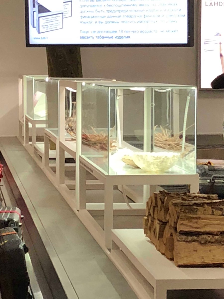 avaltone's tweet photo. Airport exhibitions starting to take form! #Chemarts @aaltouniversity @aaltoARTS https://t.co/80HBrDDQoX