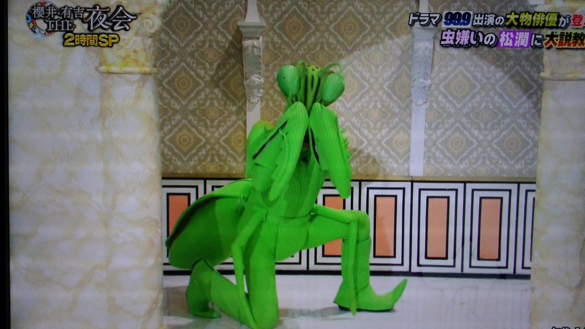 カマキリ先生 香川照之 が局を越えて大暴れ Nhkの衣装を着てtbsに出演し Tbsの予算でハナカマキリの衣装を作る 2ページ目 Togetter カマキリ先生 香川照之 が局を越えて大暴れ Nhkの衣装を着てtbsに出演し Tbsの予算でハナカマキリの衣装を作る 2ページ目 Togetter