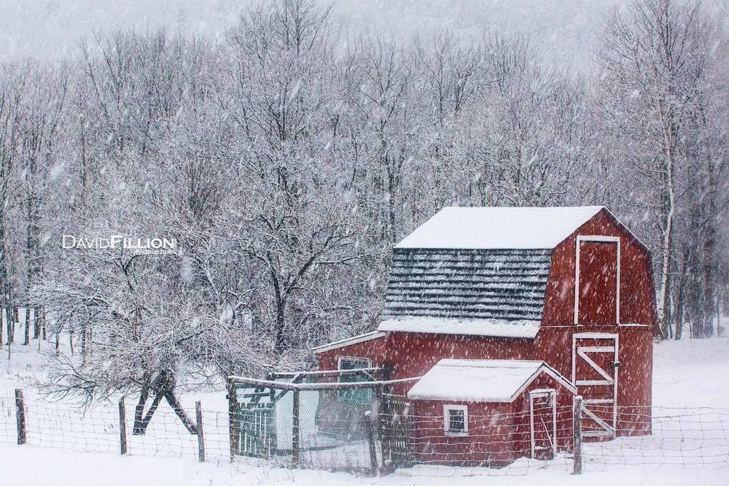 davidfillion's tweet photo. Red Barn during snow storm.
#winter #snowstorm #redbarn #goulaisriver #winterwonderland #snow #snowing #landscape #landscapephotography #landscapelover #instaphoto #photograghy #followme #hamiltonphotographer #gtaphotographer #sonyalpha #a65 #SonyAlphas… https://t.co/j8DRbUF9ir https://t.co/M25G5d88Xg