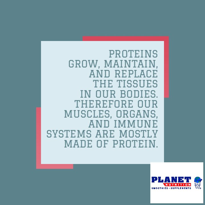 PlanetHatty1's tweet photo. Protein=Life....We’ve got you covered! #proteinsmoothies #proteinpowder #planetwhey #greattaste #proteinwillnotmakeyoufat #dontbelieveeverythingyouhear https://t.co/F2K9lK4Cps