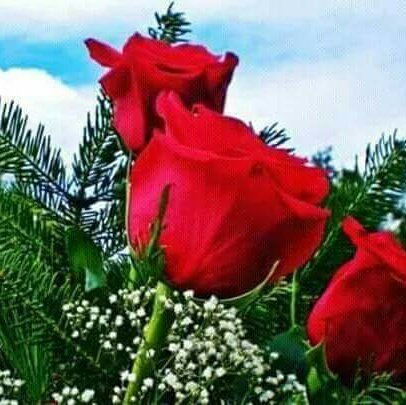 LandPiyasi's tweet photo. #NewProfilePic https://t.co/S1FCi2fkoG