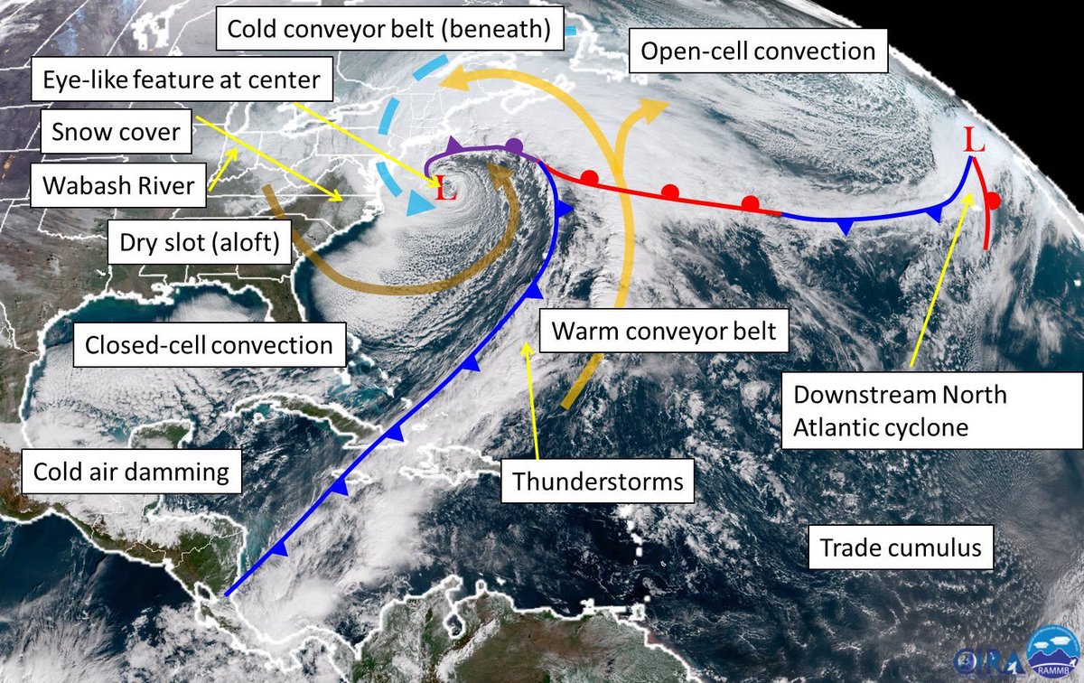 PaulHBeckwith's tweet photo. Bomb cyclone details. From 10 am Wed to 10 am today, pressure dropped from 1010 mb to 951 mb (59 drop in 24 hrs; more than 2x faster than usual big storm).
Large storm surge is happening up the coastline.
#weather #climate #climatechange #Storm18 #stormdylan #StormIsHere https://t.co/W2qzASWmnF