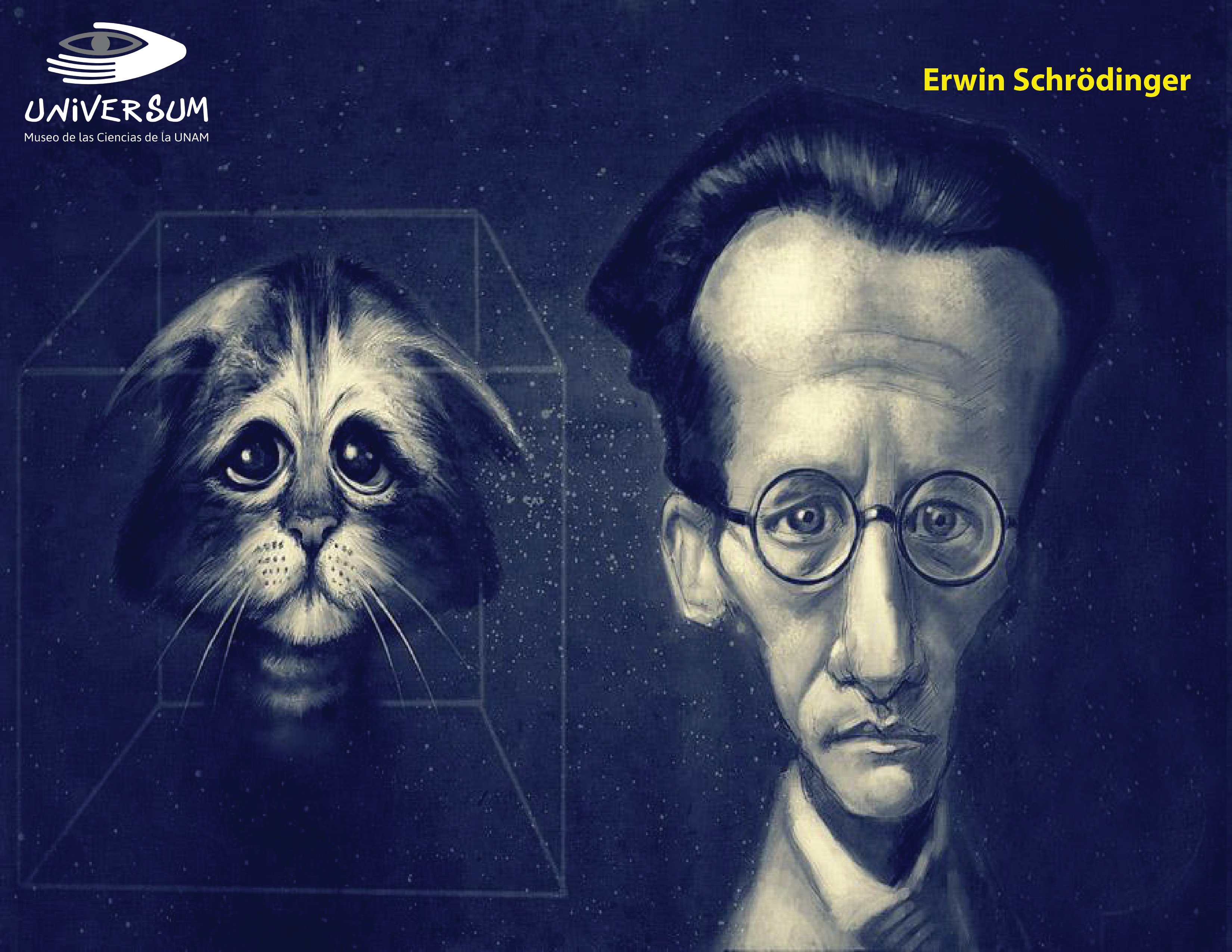Universum Museo on Twitter: "El físico Erwin Schrödinger propuso un  experimento con un gato para ilustrar las diferencias entre interacción y  medida en el campo de la mecánica cuántica. Murió #UnDíaComoHoy de