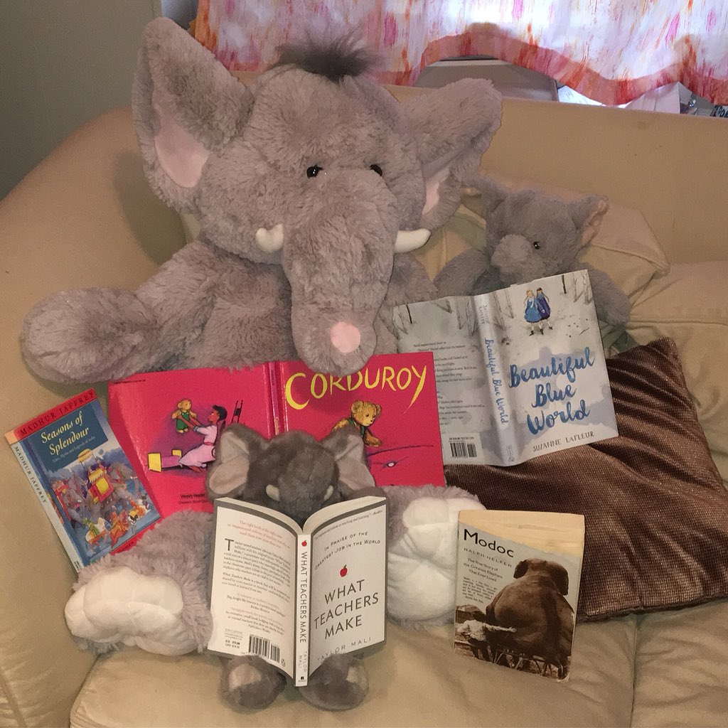 MsHerzog16's tweet photo. The perfect snow day reads! KHers, I can’t wait to see what you’re reading on this snowy day! ❄️ @DevoSchool @LowerDevoLib #DevoReads #KHLovesReading #SeasonsofSplendor #WhatTeachersMake #BeautifulBlueWorld #Modoc #CorduroyBear https://t.co/2bYPgAxW0T