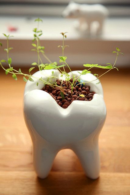 Would you like a planter like this? 😀 #WeMakeEugeneSmile