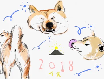 画像 / Picture