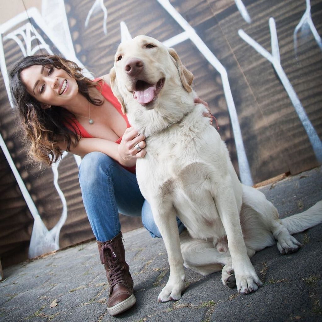 OdeRuiz's tweet photo. No sé cuál sea la receta de la felicidad pero apuesto que incluye chocolate y un perro. 🐶❤️ #Carmelo #micaramelo https://t.co/EeFrjW5RSQ https://t.co/PFY2Id4sT0