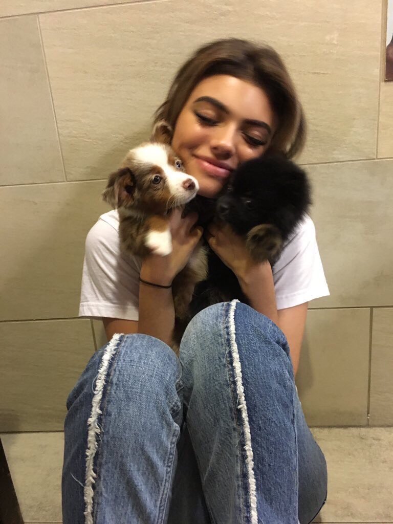 deletingthishit's tweet photo. puppy love https://t.co/ekEhL205ZC