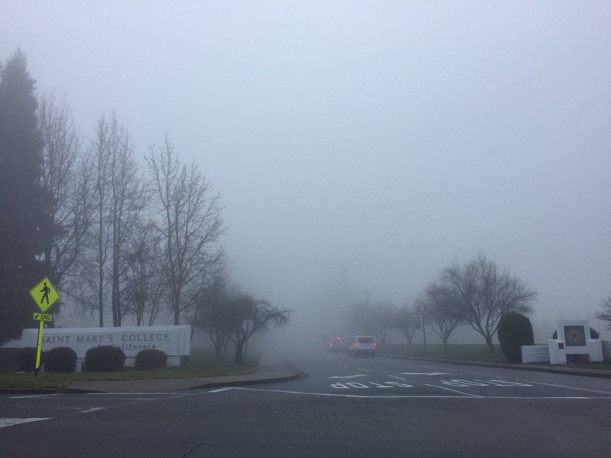 smcleadership's tweet photo. It’s a little foggy! Can you see @stmarysca driving onto campus? Our campus is still inspirational and you feel the magic that hangs in the air. #OMGSMC #leadership https://t.co/s5sykqYexD