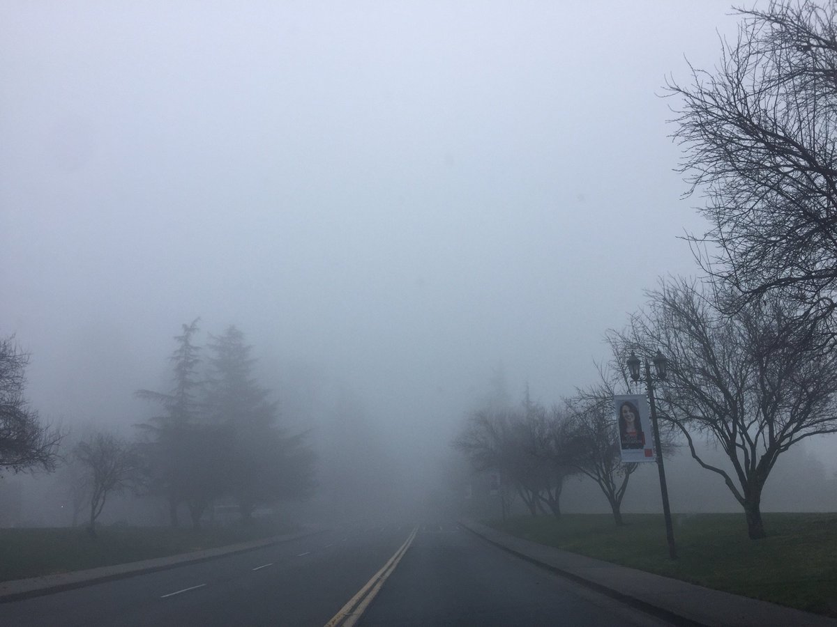 smcleadership's tweet photo. It’s a little foggy! Can you see @stmarysca driving onto campus? Our campus is still inspirational and you feel the magic that hangs in the air. #OMGSMC #leadership https://t.co/s5sykqYexD