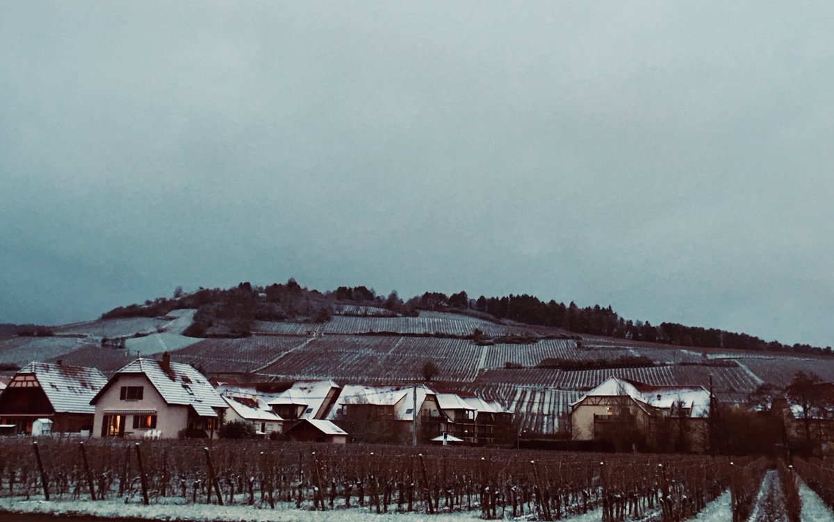 Nieve en los viñedos de <a href="/domainedeiss/">Domaine Marcel Deiss</a> 
--
Neige au Domaine Marcel Deiss
--
Neu a les vinyes de Marcel Deiss
--
Snow in Marcel Deiss vineyards