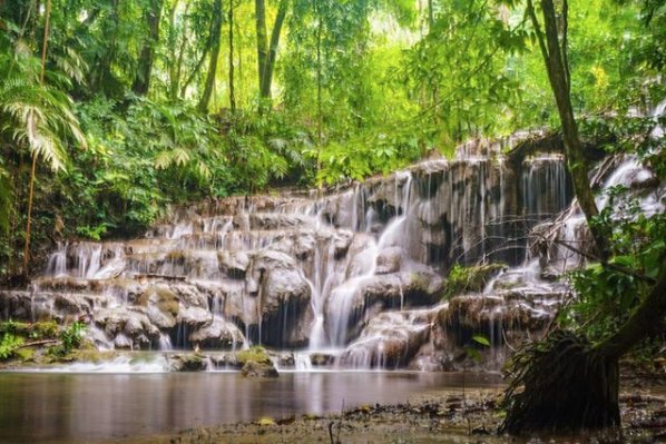 VILLAMERCEDESSC's tweet photo. Vive la experiencia natural que #Chiapas tiene para ti. Foto @rob.marley.85 https://t.co/SRfziW6HJy