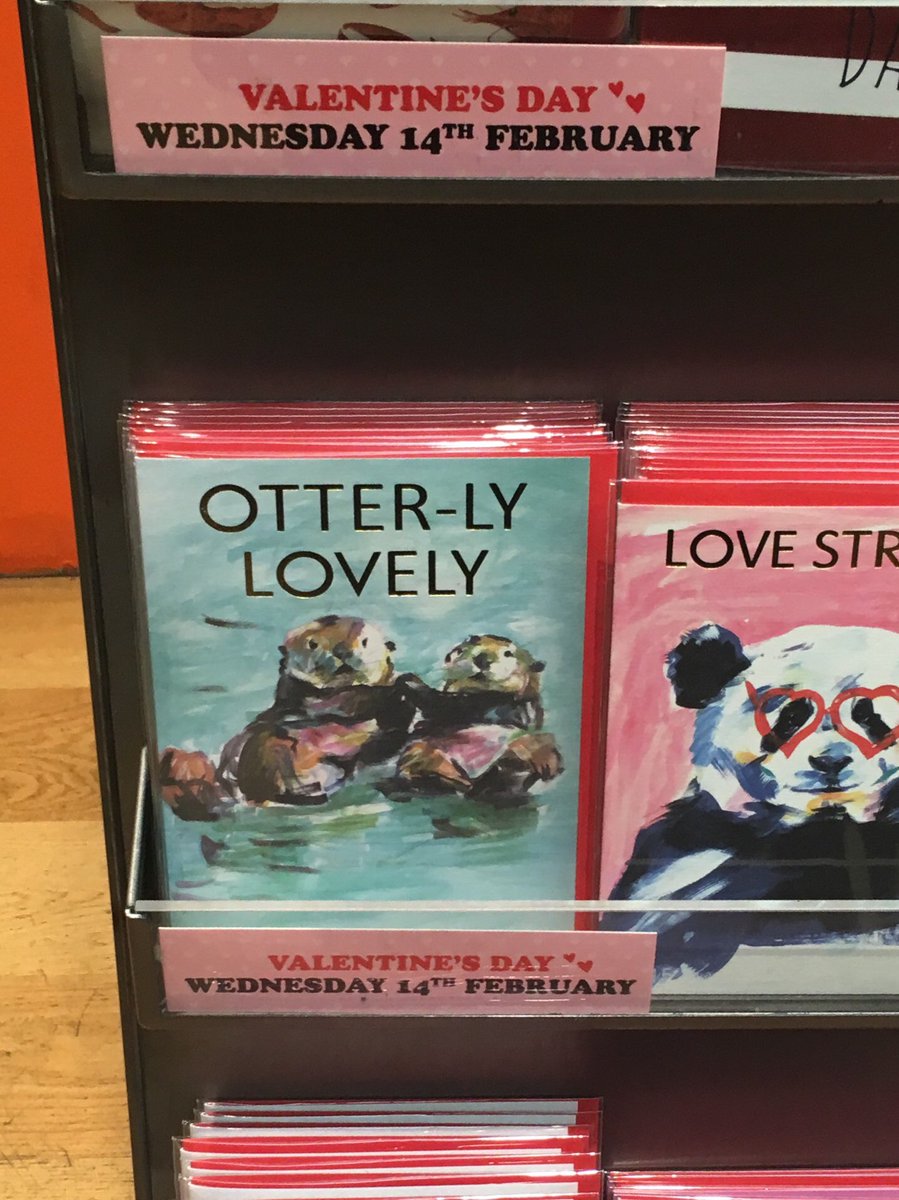 LovelyLauraB's tweet photo. @SusanCalman having not long finished your book I saw this in Paperchase tonight and it made me think of your story 😂 https://t.co/wZ9aKvpla4