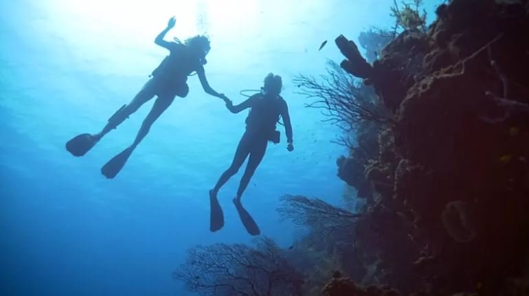 richardbranson's tweet photo. #ChasingCoral is a must-watch documentary for everyone this holiday season https://t.co/HwAmkcn0tA https://t.co/uZysHv67KE