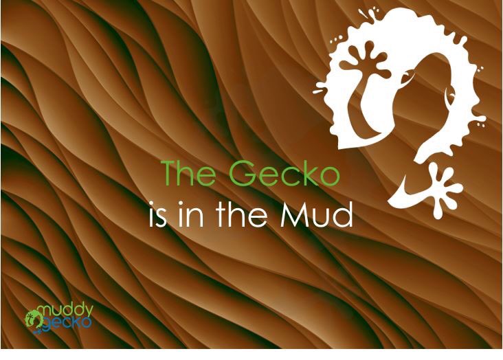 Muddy Gecko (@muddygecko) on Twitter photo 