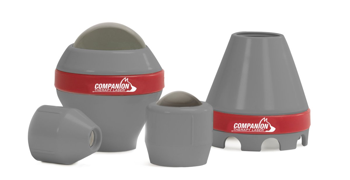 Cotswold Animal Therapy (CotswoldAnimal) Twitter