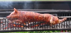 "Poignante photo d'un hippopotame mort brûlé dans l'incendie de Cervione hier en Corse" #TweeteCommeHélèneConstanty