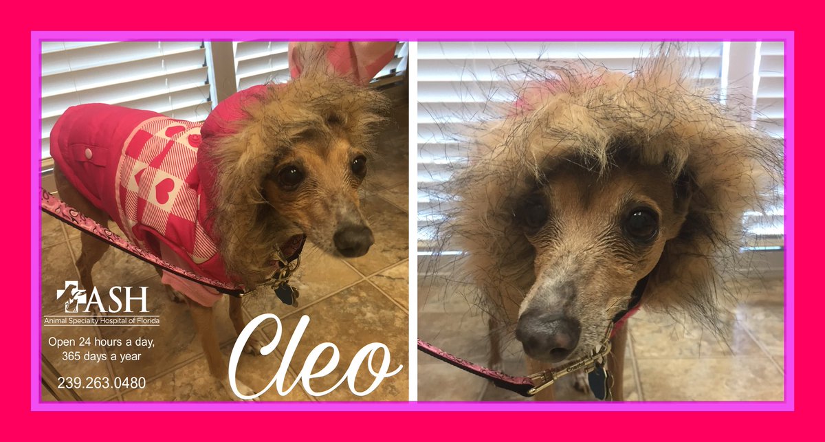 Ash Of Florida Ashofflorida Twitter