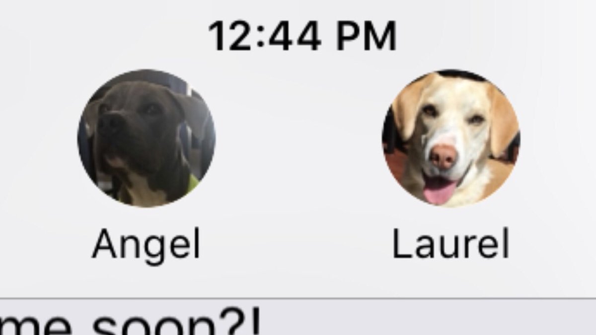 laa_waa's tweet photo. Our contact photos in @missalain_eous phone 😭😭#thathighlighttho @AngalynnaTran https://t.co/9MFO0NfmkB