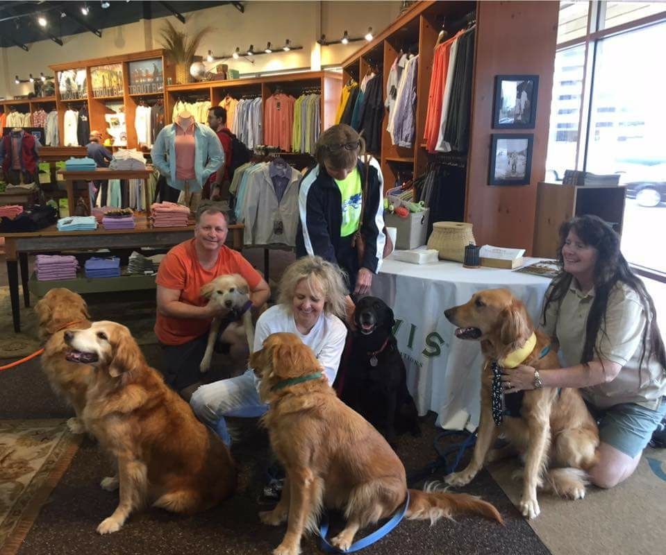 GoldensofHouTX's tweet photo. Meet &amp; Greet Saturday is back for 2018!! Come meet our pups THIS SATURDAY from 10am - 12pm at Orvis in The Woodlands (9595 Six Pines Drive, Suite 500, The Woodlands, Texas 77380). #meetandgreet #goldenretrievers #RescueDogs #AdoptDontShop https://t.co/dfbeaVHmvn