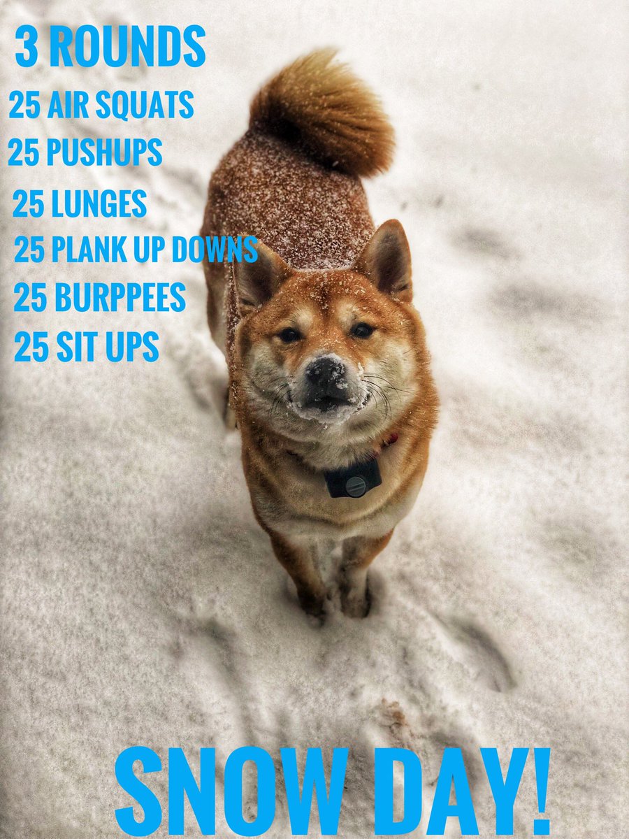 Blizzard in the northeast calls for a at home workout challenge #blizzard #BOMBCYLONE #SnowStorm #ironhousect #shibainu #challengeyourself