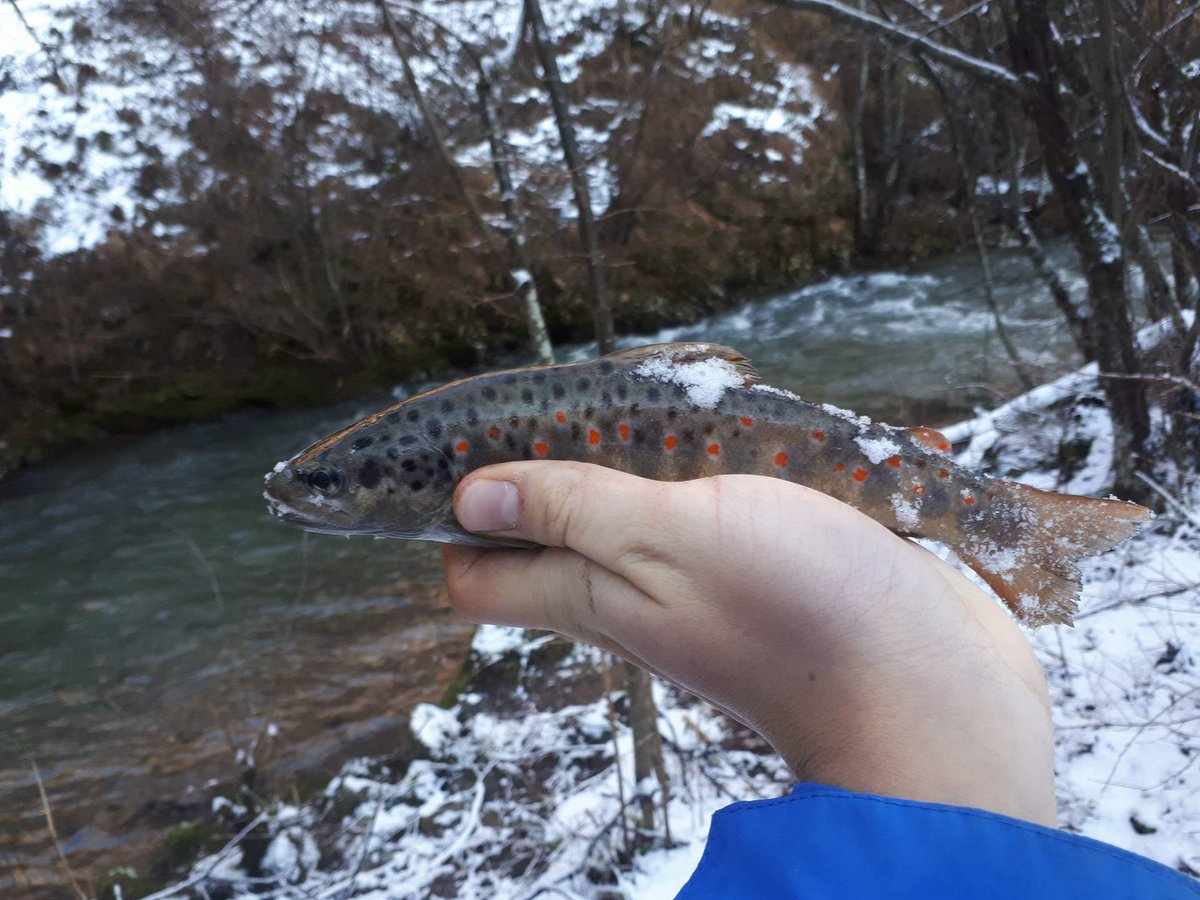 Winter fishing❄❄❄