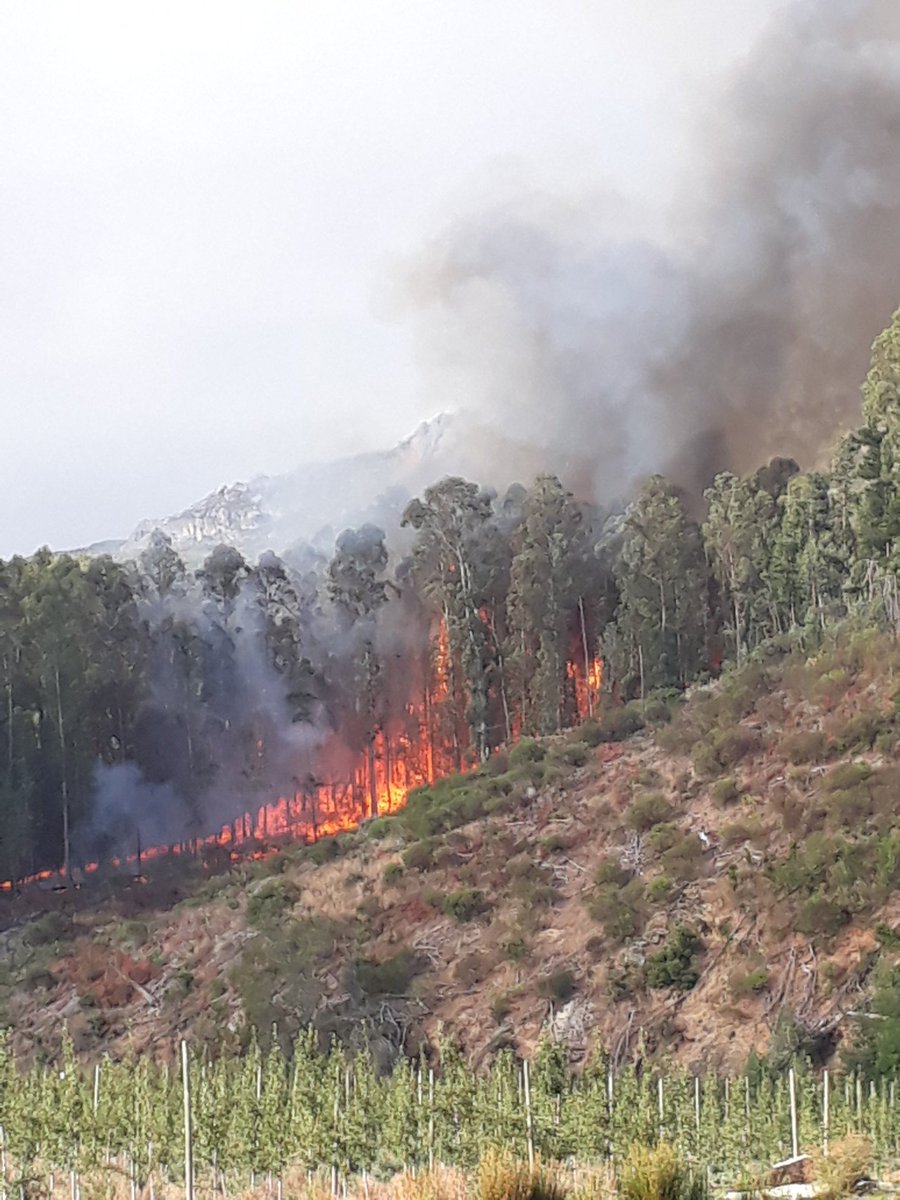 WittyWineWoman's tweet photo. 1/3
What started off as a chilled afternoon tea at @HouwHoekInn suddenly changed when a fire was spotted on the opposite mountains. https://t.co/jNQpMoN2br