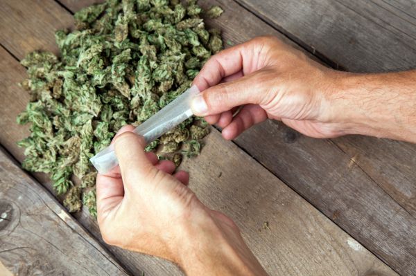 Marijuana: un marché de 5 milliards au bas mot #Marijuana ecoinfos.fr/news/2246109-m…