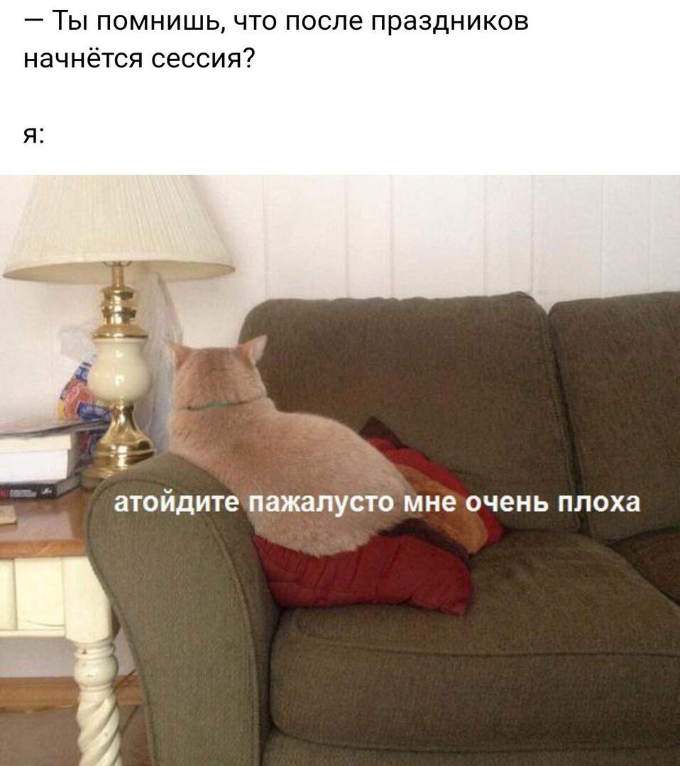 Анатолий из синдиката (@anatoly_sndk) on Twitter photo 