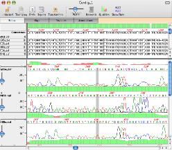 download dns and bind 1998