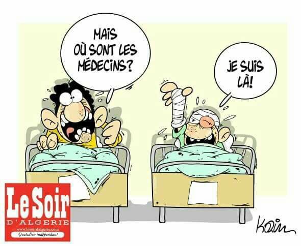 ايلام tweet media