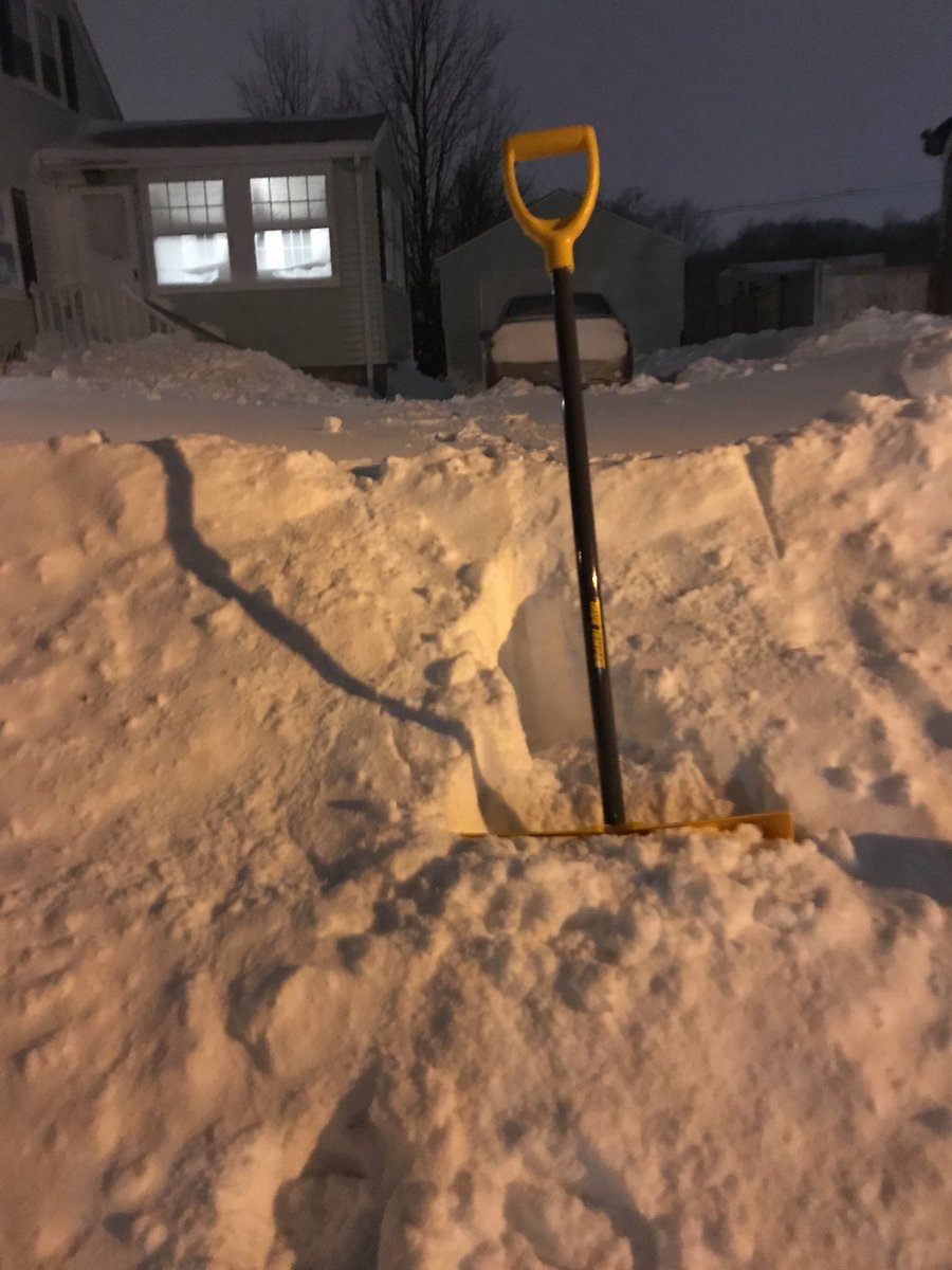 LeonLush's tweet image. I would deepthroat a cactus to own a snowblower right now.