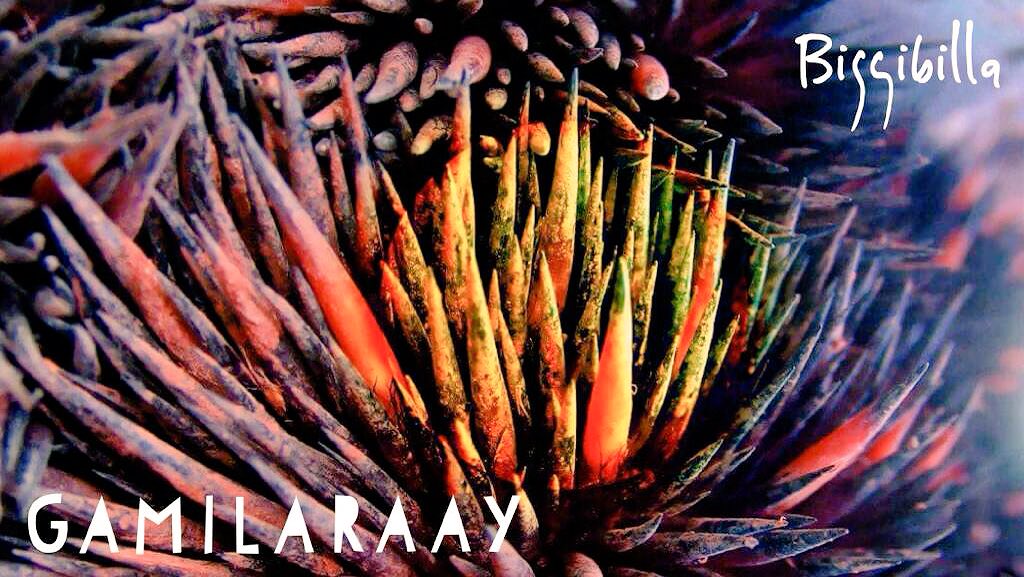 PSpearim's tweet photo. You are invited to an exclusive, vernissage (private view of paintings), prior to the official, public opening of Paul Spearim's anticipated indigenous exhibition, Gaara-y Ngiyaningu Dhiriya Gamil (Paint our Lore). https://t.co/EYlsthE8C8