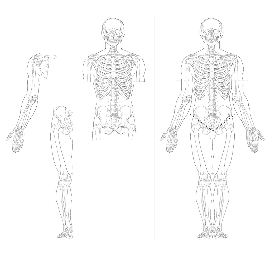 使い勝手がいいのは、解剖学的正位で統一された前面・後面・側面の骨と筋、体表の図がある事。局所図を合成可能な点。合成可能な点はヘイルの英訳版によって紹介された。#美術解剖学 