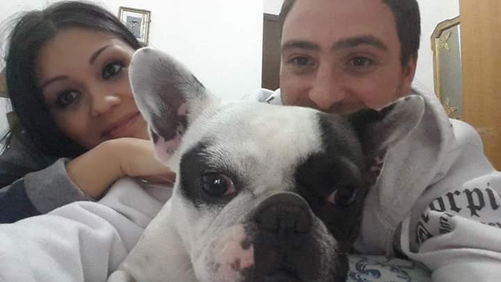LamuhManagement's tweet photo. #buonanotte a tutti!! #goodnight #BuenasNoches #goodmorning #GoodLuck #Musica #TantoAmore #love #myloves #songwriter #bulldogs #bulldogfrancese #frenchbulldog #amore #tenerezza  #dolcezza https://t.co/0kWTPt8X9c