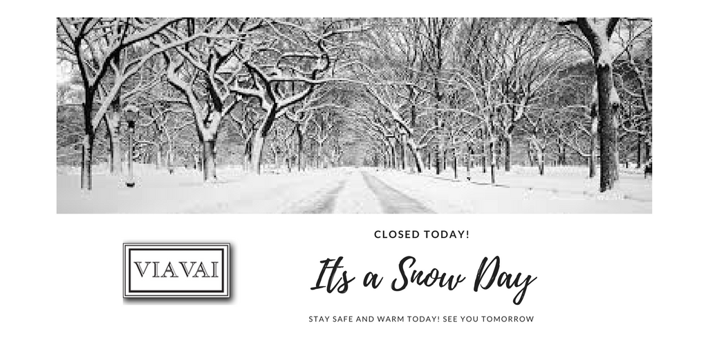 ViaVaiNYC's tweet photo. @ViaVaiNYC sends a big thank you to everyone braving the snow today to keep our streets and sidewalks clear!  Stay safe and warm.  We will reopen tomorrow with wonderful specials for the weekend. https://t.co/ynXRGofVJv