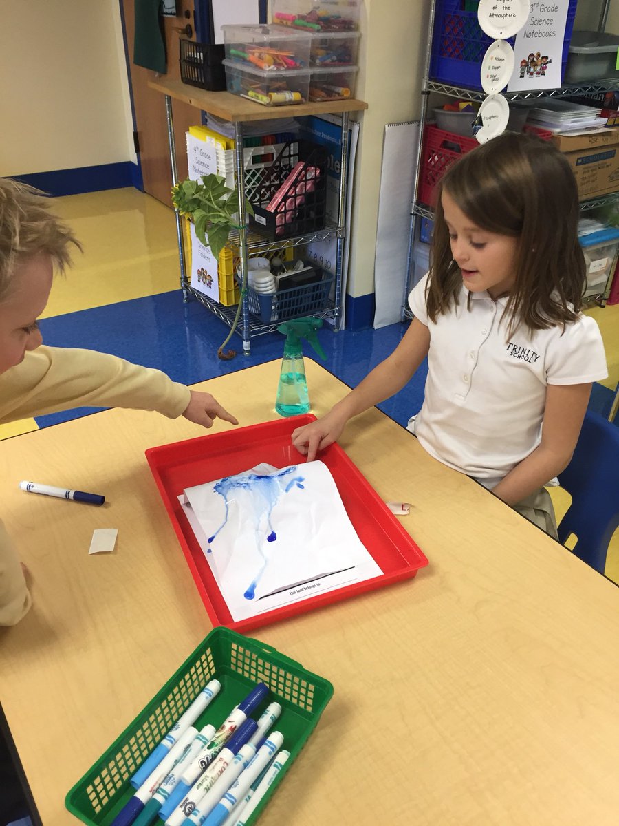 laurenkane_ILC's tweet image. Why do rivers flow? Learning about our watershed thanks to @MysterySci #Trinitylearns @AdamsStew1st